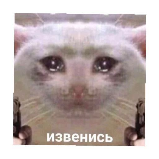 🥺 Стикер «For every occasion 2» для Telegram