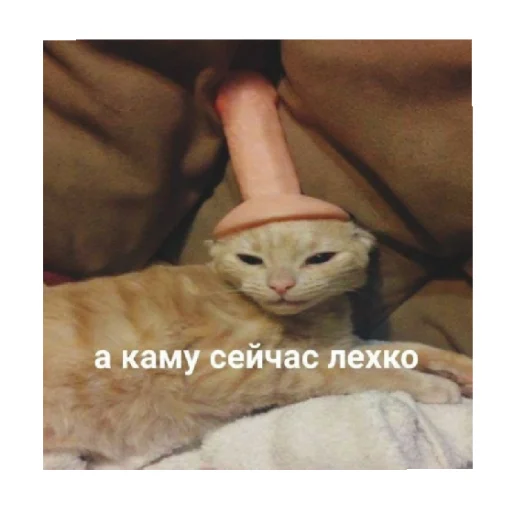 😅 Стикер «For every occasion 2» для Telegram