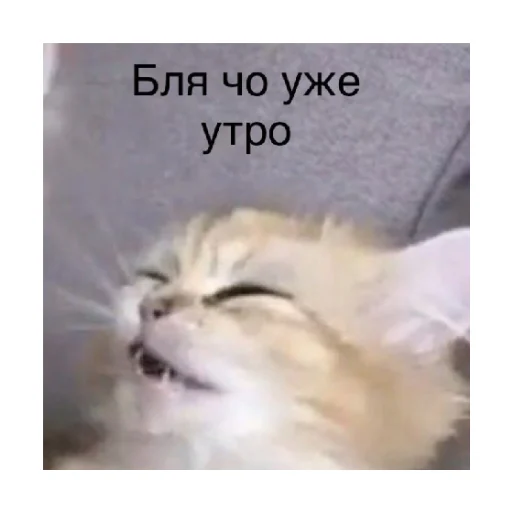 😩 Стикер «For every occasion 2» для Telegram