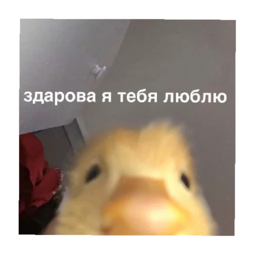 Стикерпак For every occasion 3 для Telegram — скачать