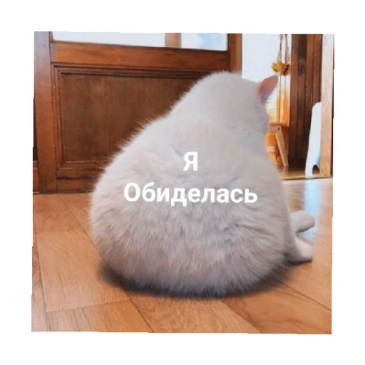 😔 Стикер «For every occasion 5» для Telegram