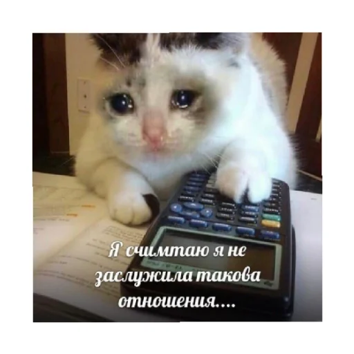 😭 Стикер «For every occasion 5» для Telegram