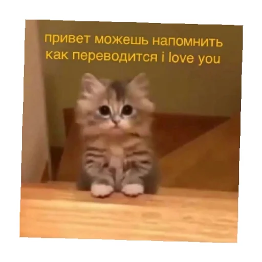 ❤️ Стикер «For every occasion 5» для Telegram