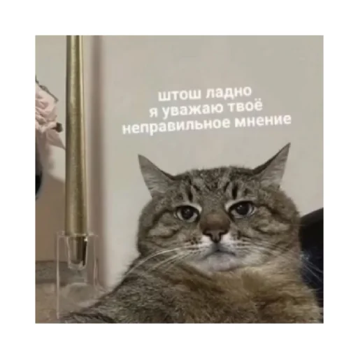 😑 Стикер «For every occasion 5» для Telegram