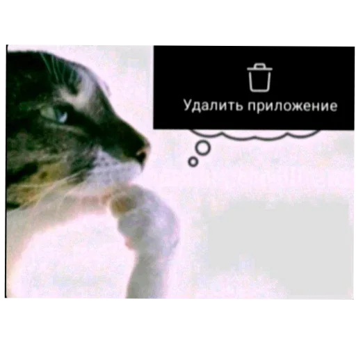 🖼 Стикер «Фотки с ТТ2» для Telegram