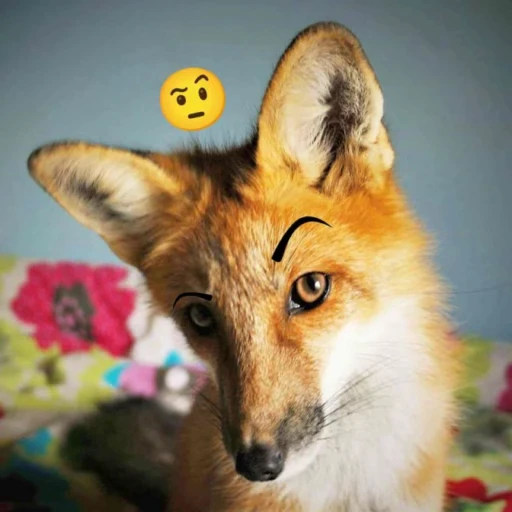 🤨 Стикер «Foxes» для Telegram