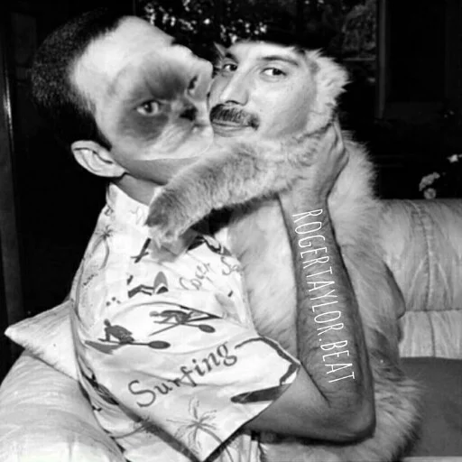 🐈 Стикер «Freddie Mercury» для Telegram