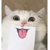 🤩 Эмодзи «Freli» для Telegram
