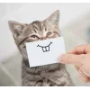 🤩 Эмодзи «Freli» для Telegram