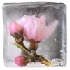 🤩 Эмодзи «Frozen Wonderland» для Telegram