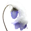 🤩 Эмодзи «Frozen Wonderland» для Telegram
