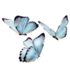 🦋 Эмодзи «Windows» для Telegram