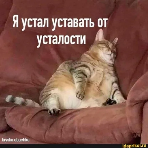 Стикерпак hhwb для Telegram — скачать