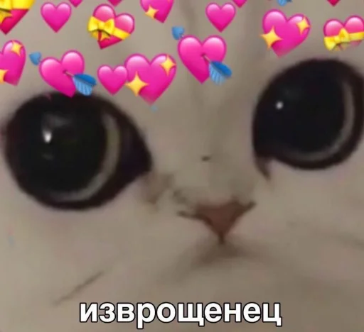 💖 Стикер «hhwb» для Telegram