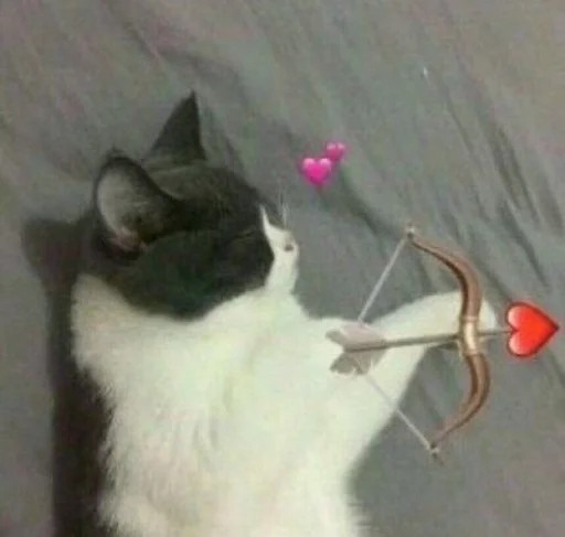 🕸 Стикер «𝚖𝚘𝚘𝚍. `• •´» для Telegram
