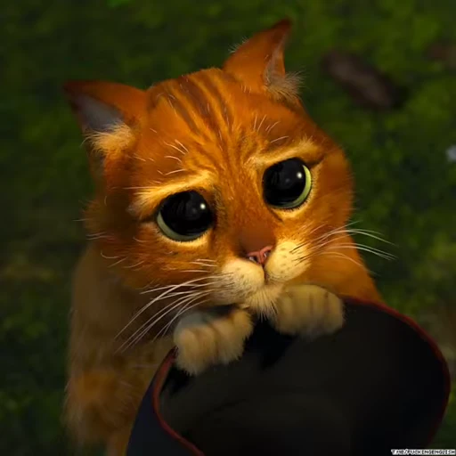🥺 Стикер «Memes» для Telegram
