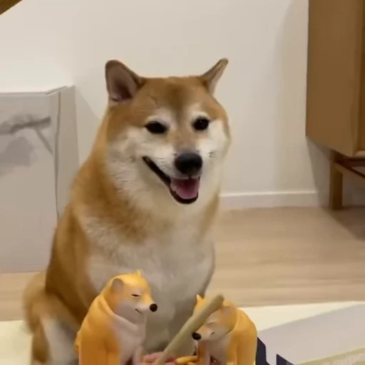 😀 Стикер «Fuck off Dogs Videostickers» для Telegram