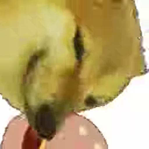 🥩 Стикер «Fuck off Dogs Videostickers» для Telegram