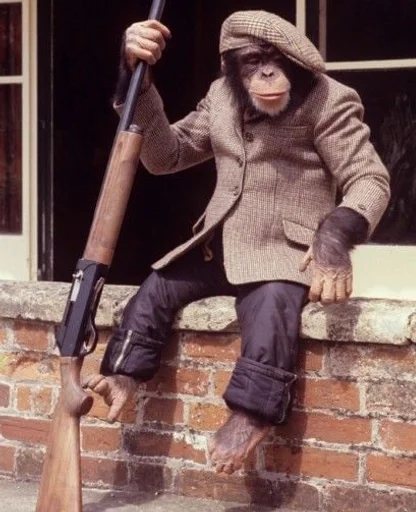 🐒 Стикер «Обезьяны MP» для Telegram