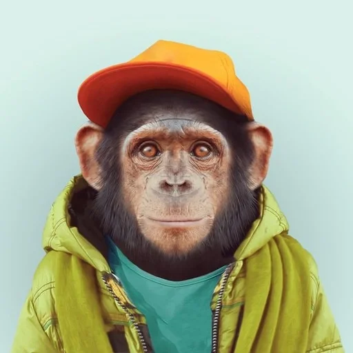 🐒 Стикер «Обезьяны MP» для Telegram