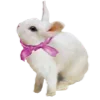 🐇 Эмодзи «Fullheart» для Telegram