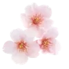 🌸 Эмодзи «Fullheart» для Telegram