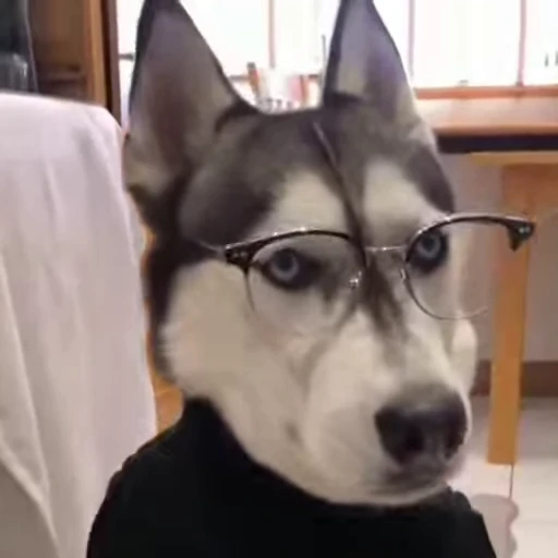 📕 Стикер «Vibe Memes» для Telegram