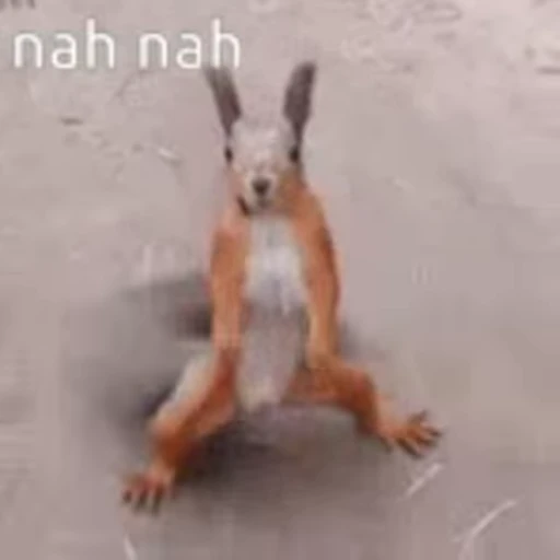 😁 Стикер «FunnyAnimal» для Telegram