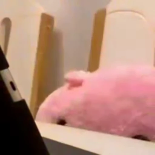 😫 Стикер «FunnyAnimal» для Telegram