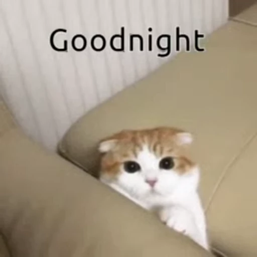 😴 Стикер «FunnyAnimal» для Telegram