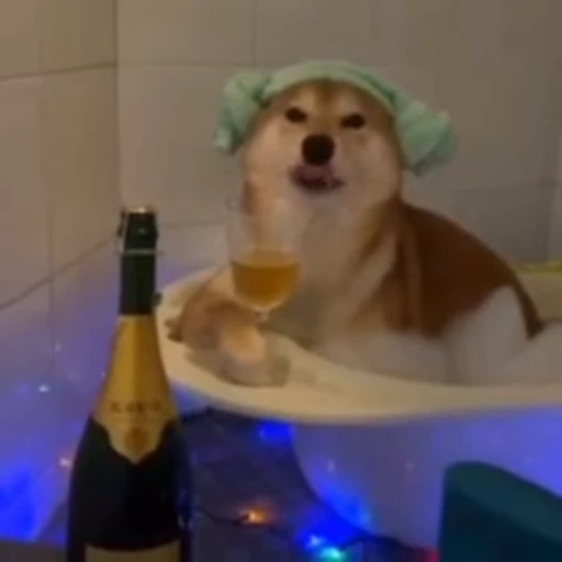 😁 Стикер «FunnyAnimal2» для Telegram