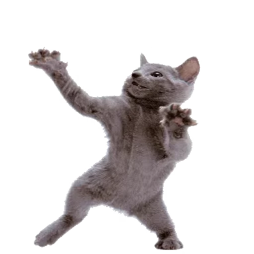 😹 Стикер «funny» для Telegram