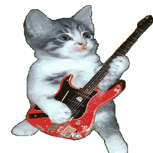🎶 Стикер «funny» для Telegram
