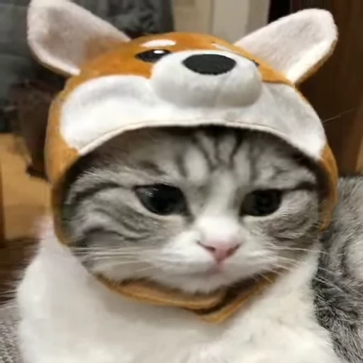 😕 Стикер «тваринки» для Telegram