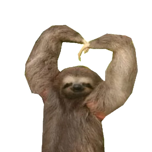 ❤️ Стикер «Fun Sloth» для Telegram