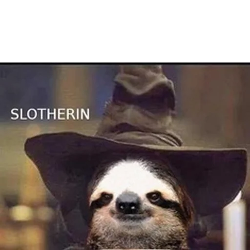 🤠 Стикер «Fun Sloth» для Telegram