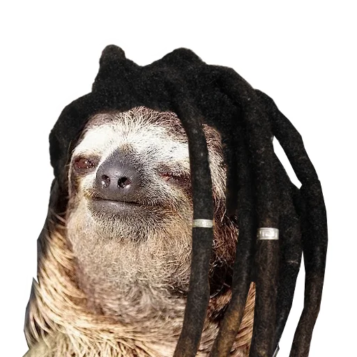 🙂 Стикер «Fun Sloth» для Telegram