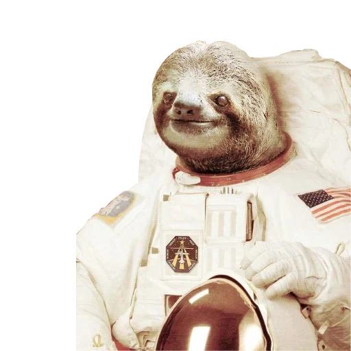 👨‍🚀 Стикер «Fun Sloth» для Telegram