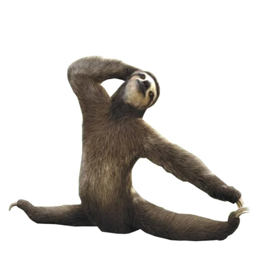 🙅‍♀️ Стикер «Fun Sloth» для Telegram