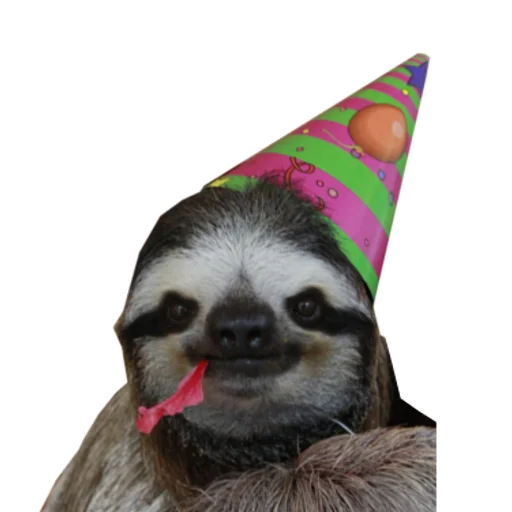 🥳 Стикер «Fun Sloth» для Telegram
