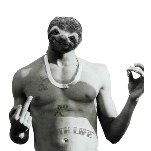 📈 Стикер «Fun Sloth» для Telegram