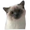 🤩 Эмодзи «Fvck» для Telegram