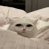 🥹 Эмодзи «Cats #animals #cat #meme #cute» для Telegram