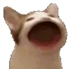 Стикерпак Cats #animals #cat #meme #cute для Telegram