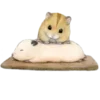 🐹 Эмодзи «Gotte» для Telegram
