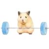 🐹 Эмодзи «Gotte» для Telegram