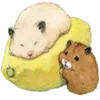 🐹 Эмодзи «Gotte» для Telegram