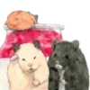 🐹 Эмодзи «Gotte And Friends» для Telegram