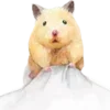 🐹 Эмодзи «Gotte And Friends» для Telegram