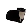 🐱 Эмодзи «Random 1 #other #random» для Telegram